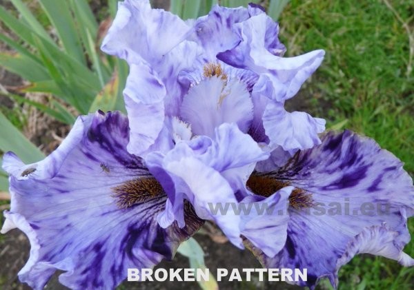 broken_pattern