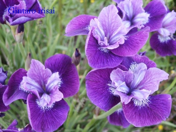 pict0071